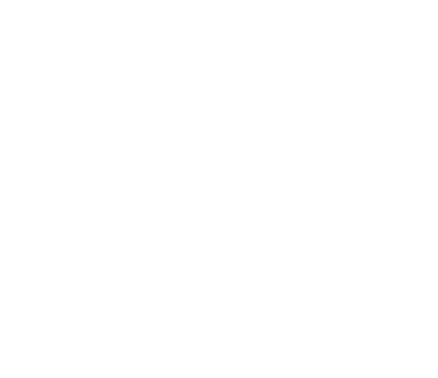 Raška engineering s.r.o. – logo