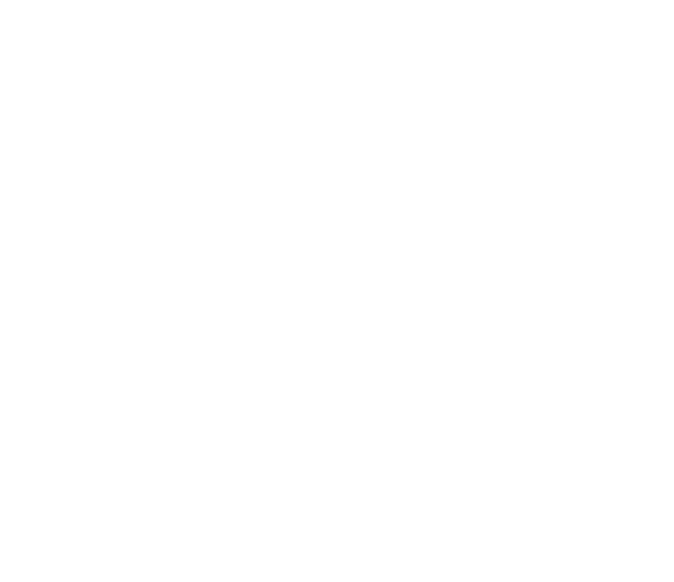 Raška engineering s.r.o. – logo